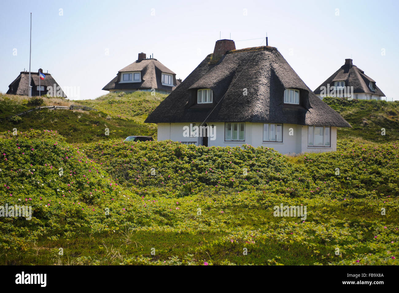 Isola di Sylt - Germania Foto Stock