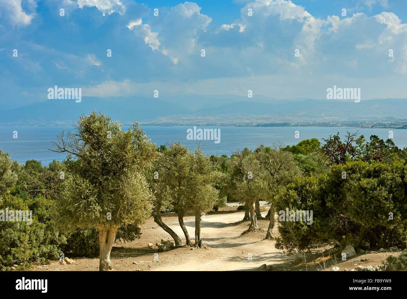 Cipro Bagni di Afrodite Foto Stock