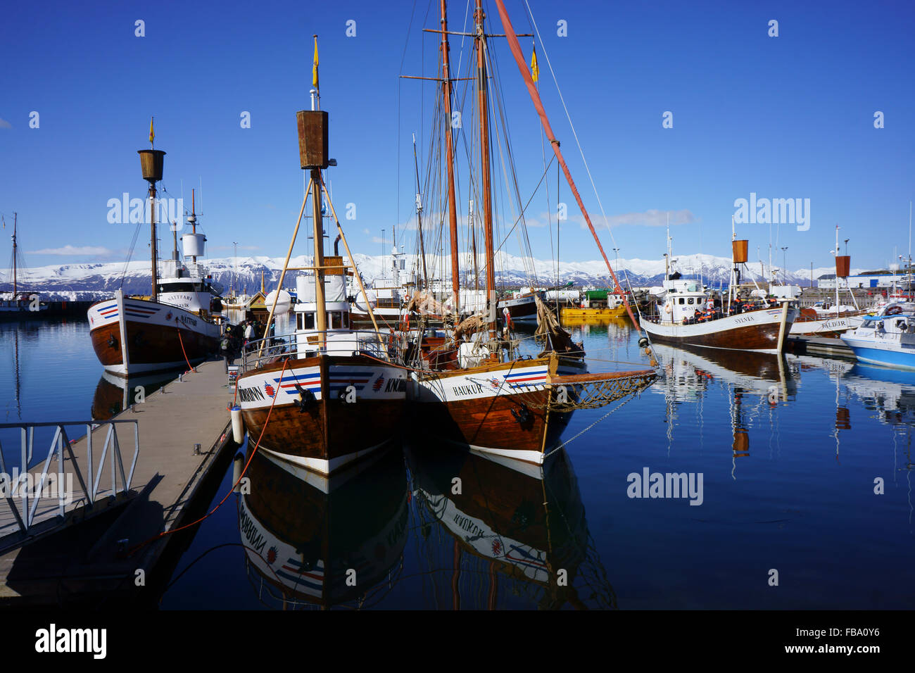 Città portuale Husavik con Skjalfandi fiordo, Islanda Foto Stock