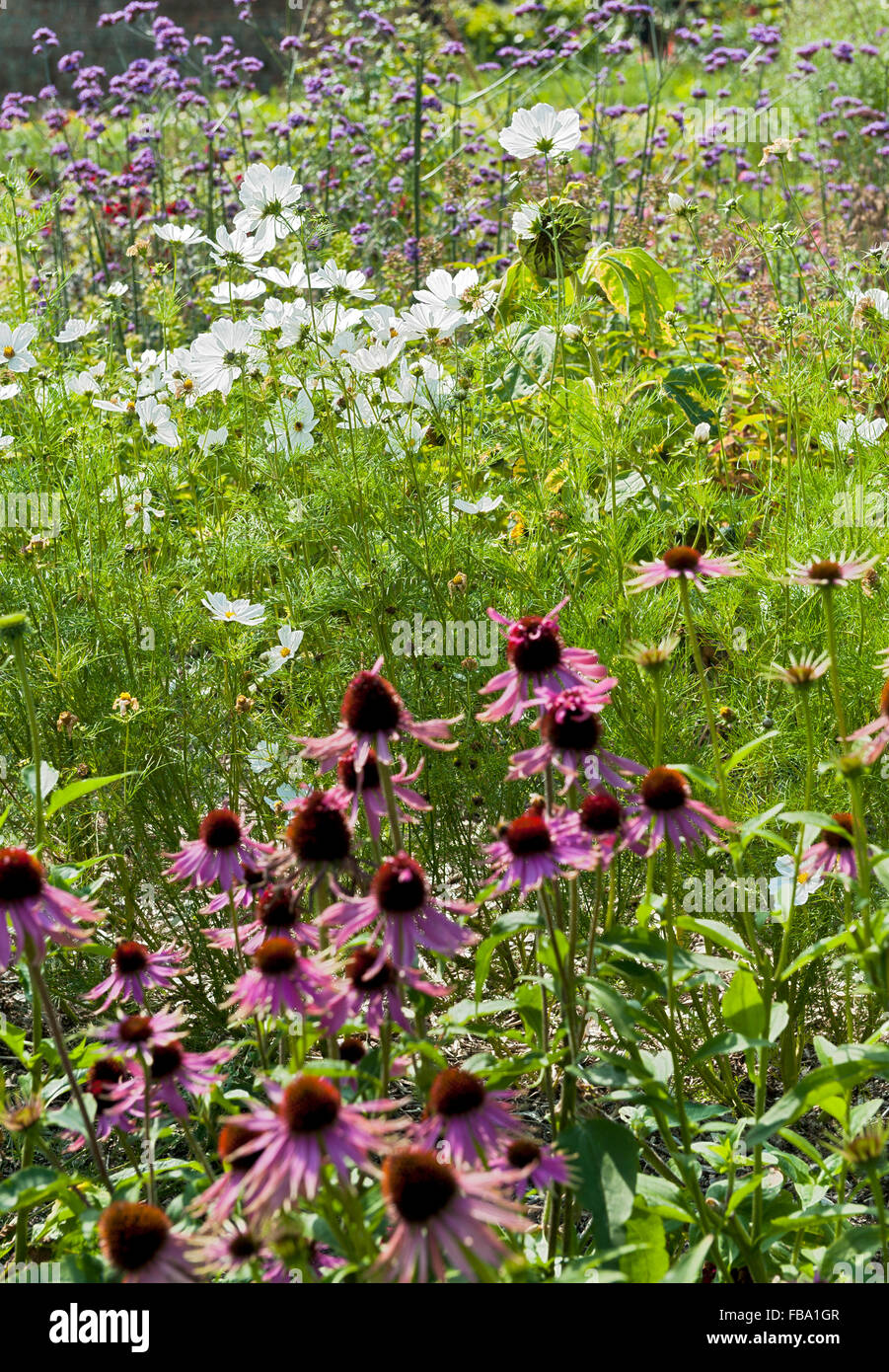 Estate Garden cottage flower boarder Foto Stock