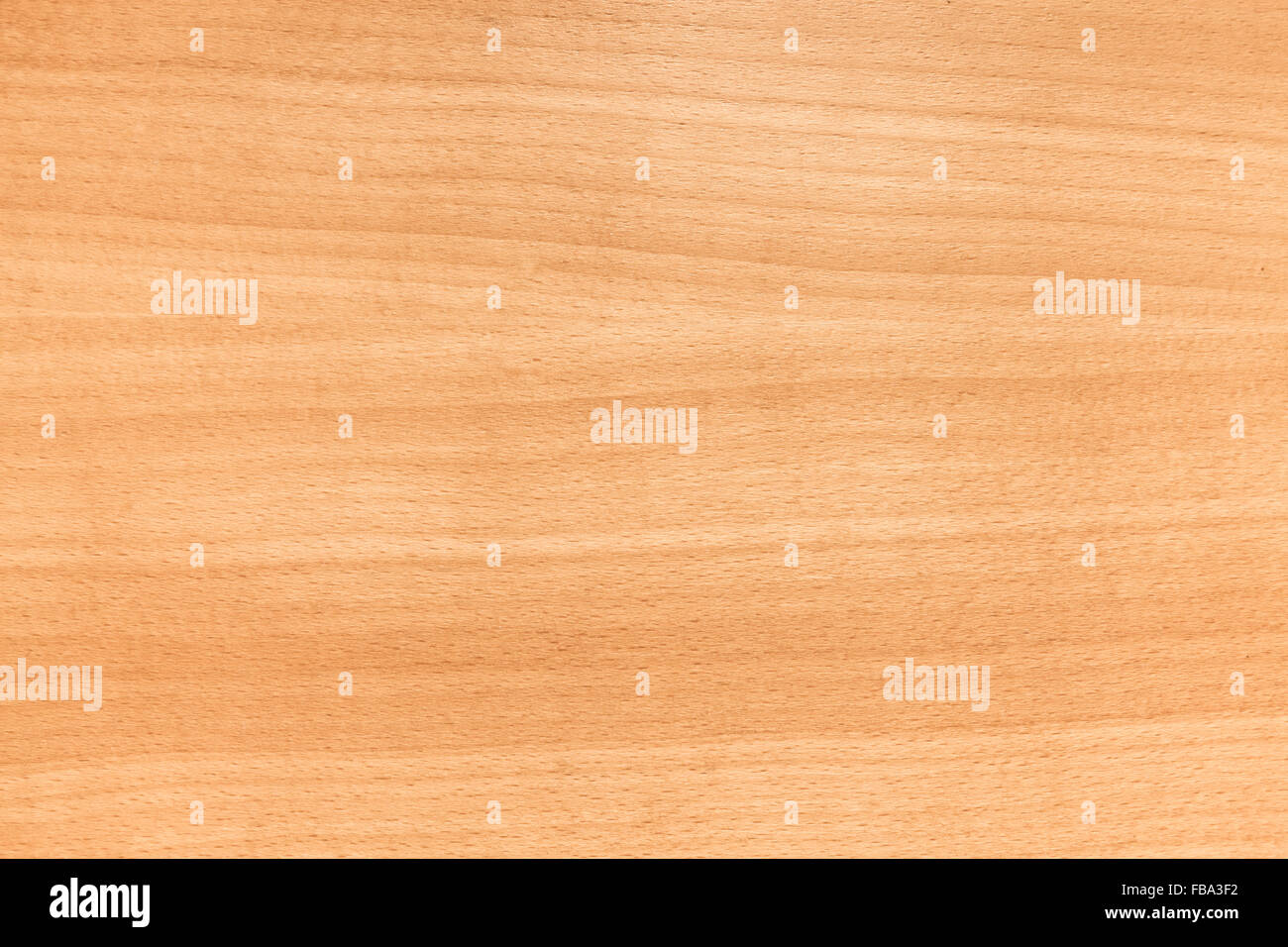 Unione in legno di faggio modello. Close-up foto di sfondo texture Foto Stock