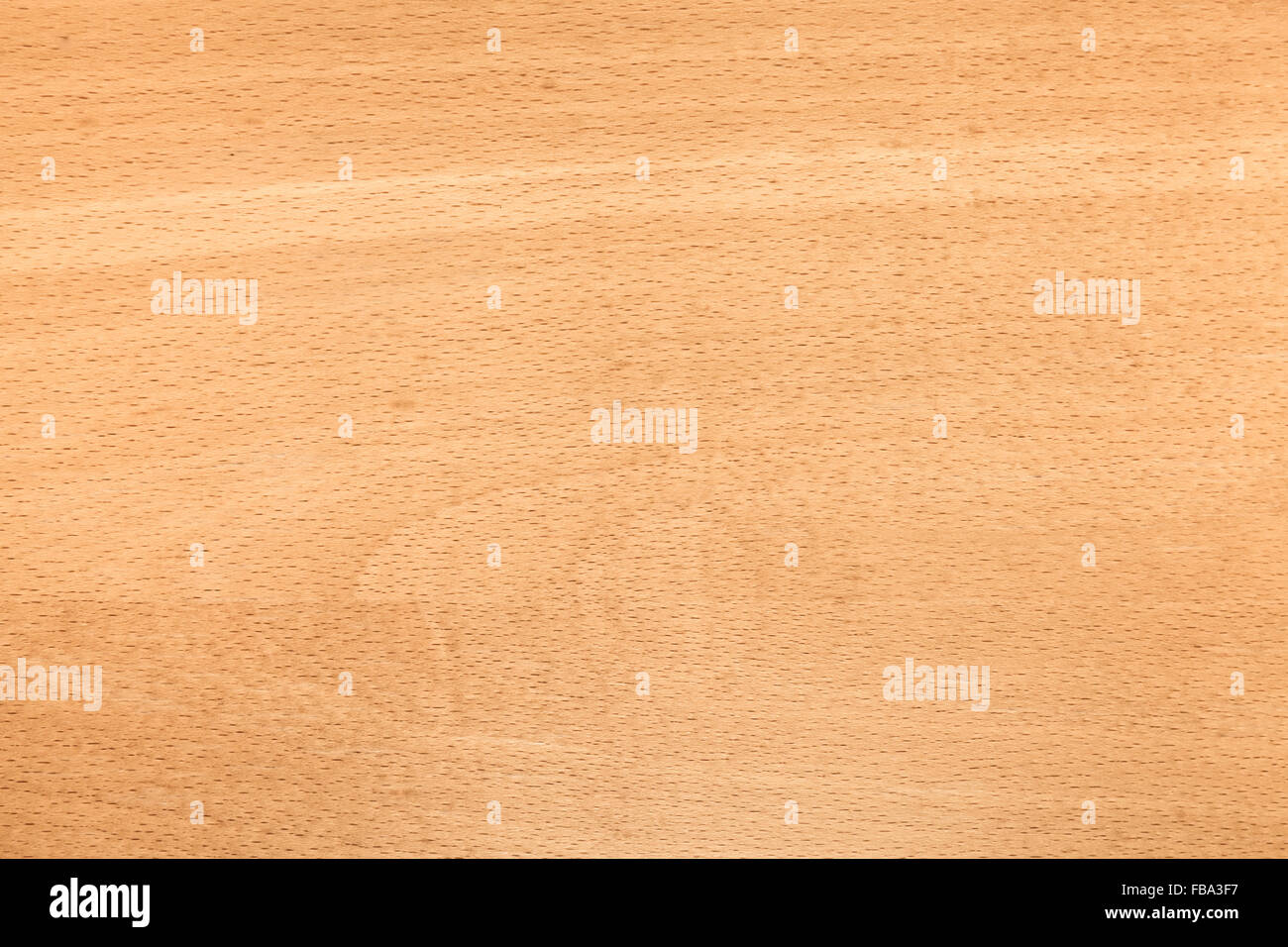 Unione in legno di faggio modello. Closeup foto di sfondo texture Foto Stock