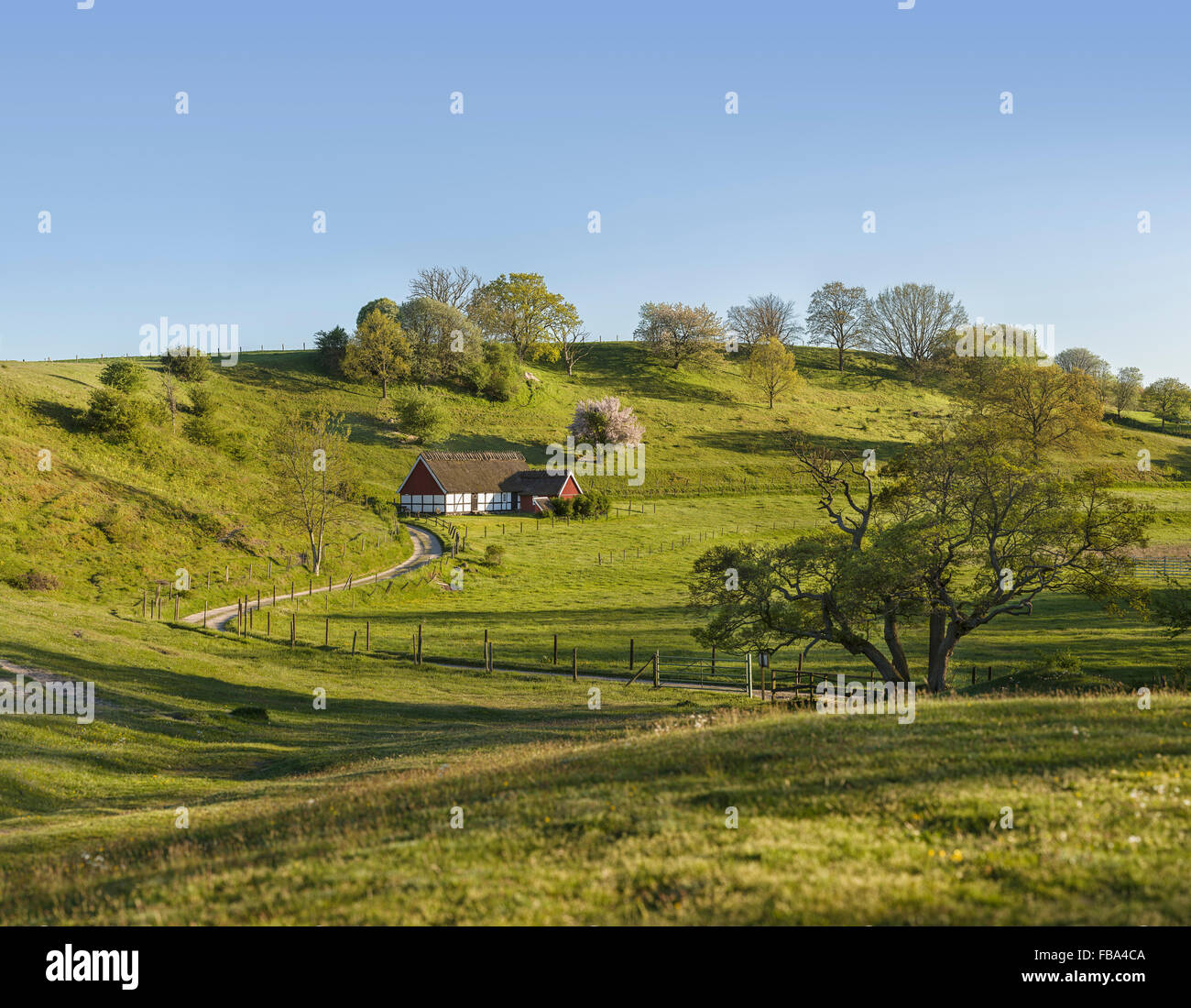 Cottage in pastorale paesaggio di campagna nel sud della Svezia. Skane / Scania, in Scandinavia. Foto Stock