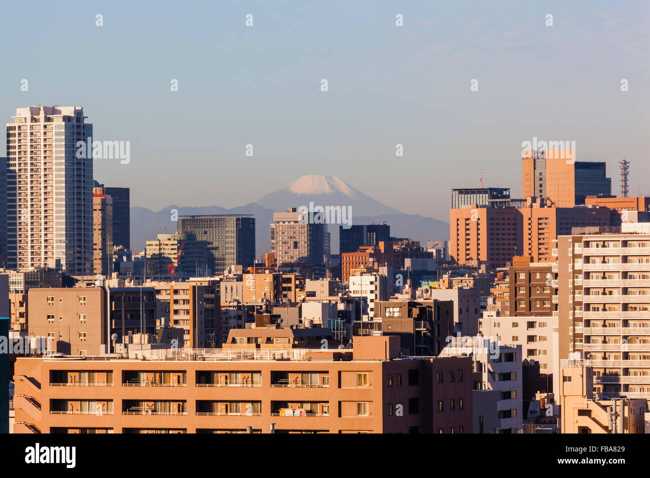 Giappone, Honshu, Tokyo, skyline della città e il Monte Fuji Foto Stock