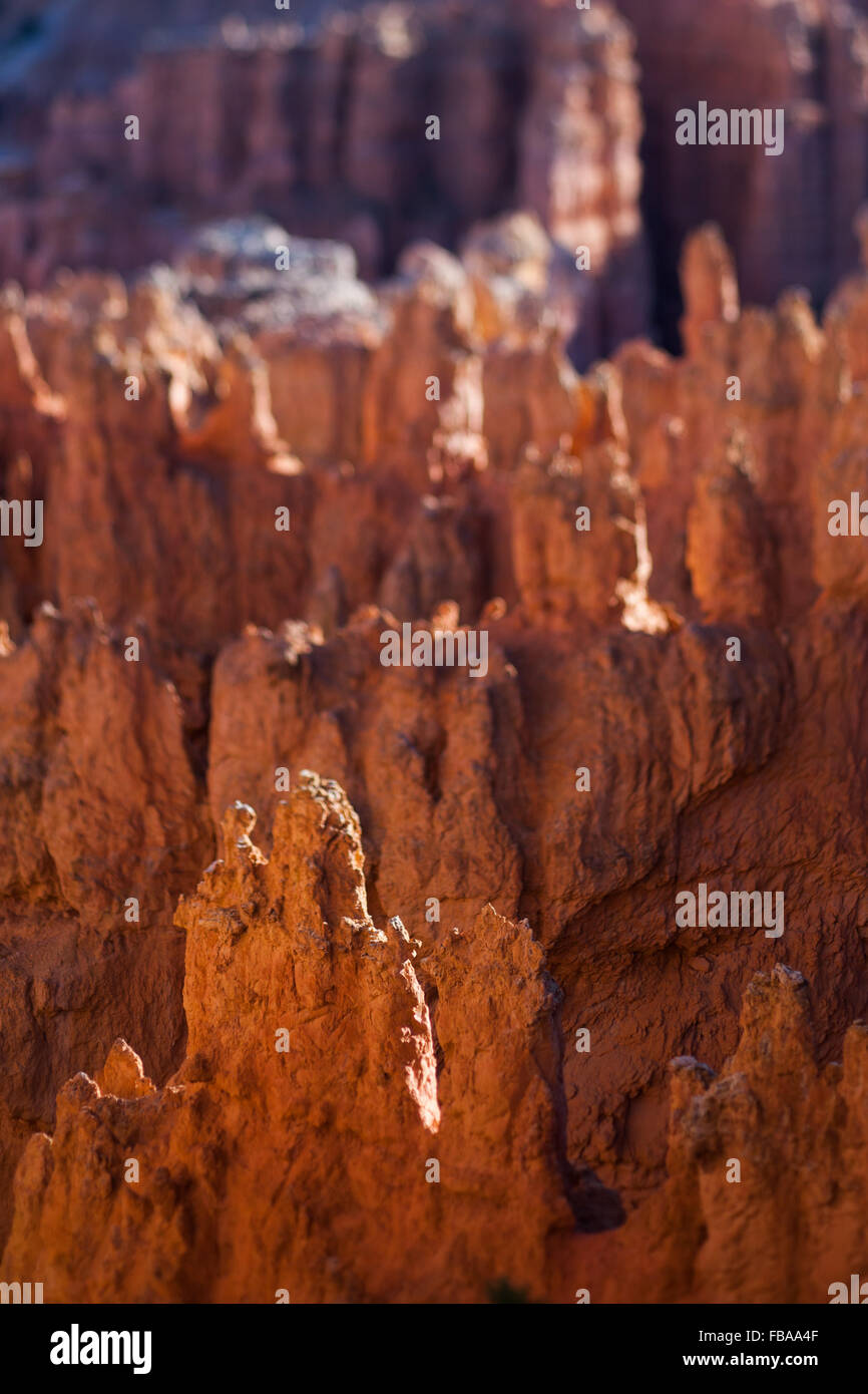Vista su Bryce Canyon dello Utah, tilt shift effetto Foto Stock