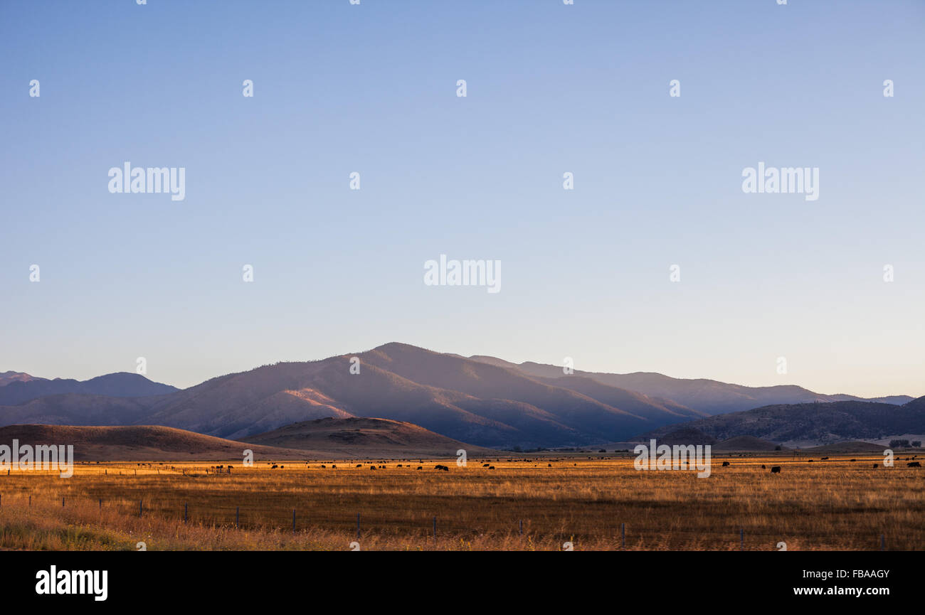 Vista sul deserto farmland, rurale Stato di Washington Foto Stock
