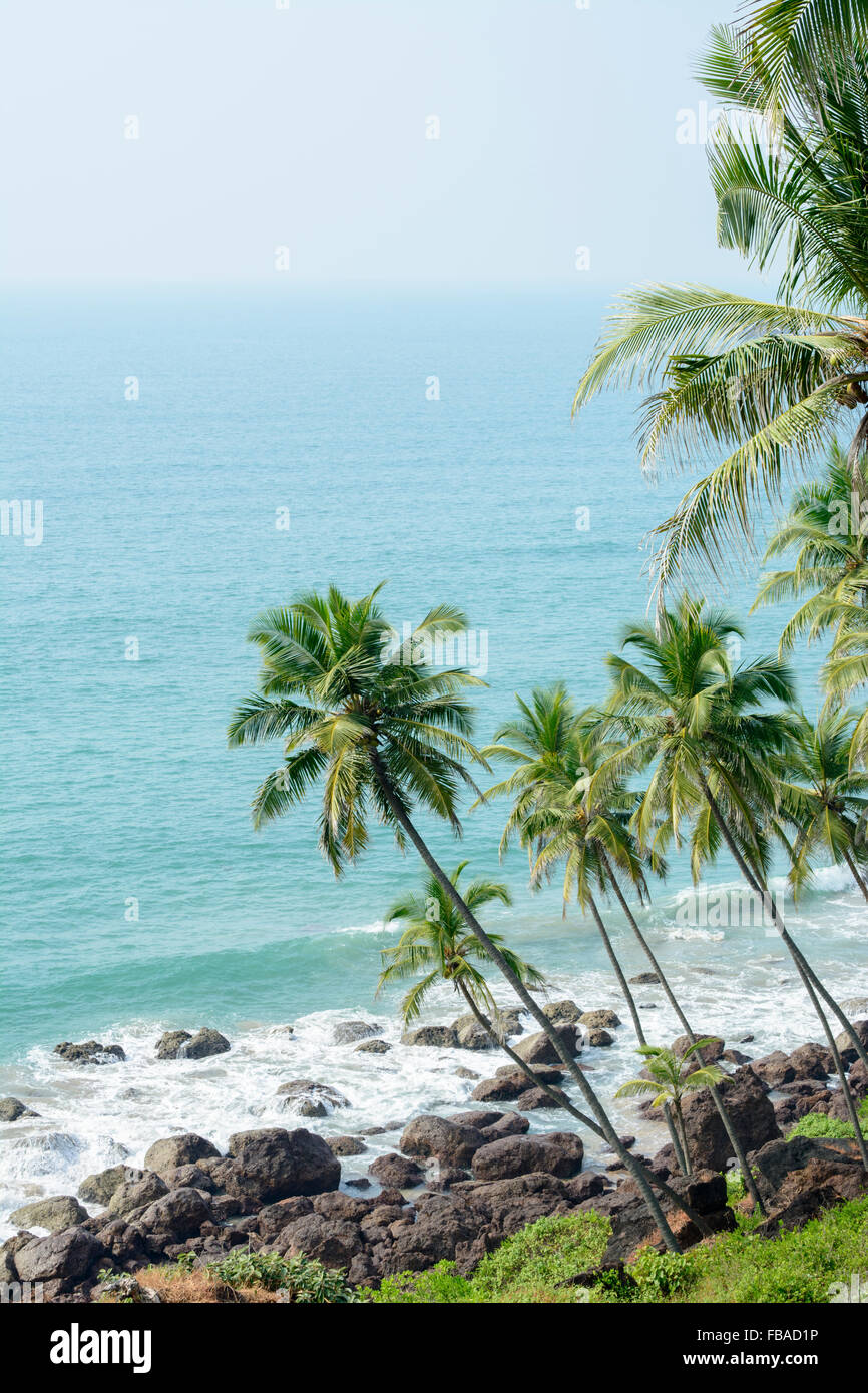 Da palme hillside a Rajbagh beach, Cabo de Rama, Cola parte Sud di Goa, India Foto Stock