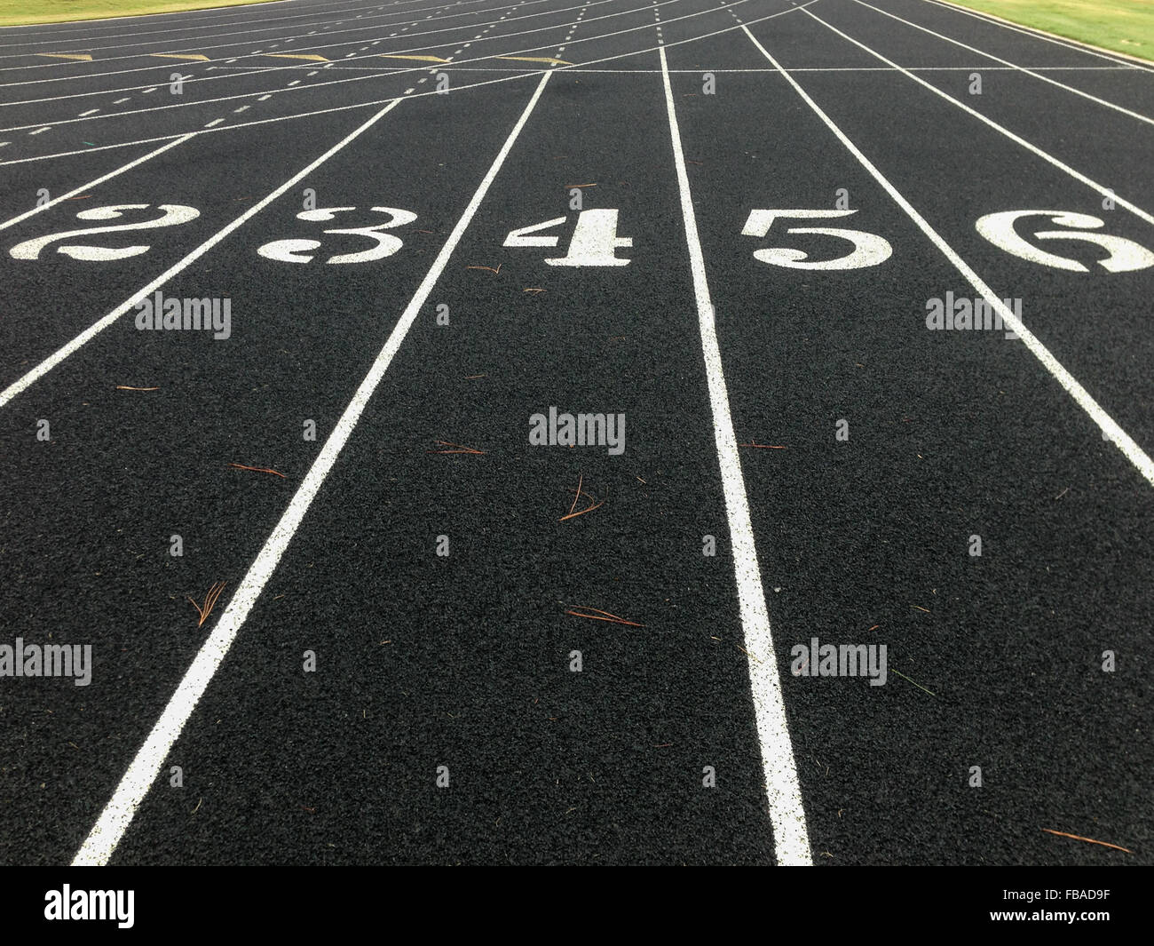 I numeri su una pista nera appena dietro la linea di partenza Foto Stock