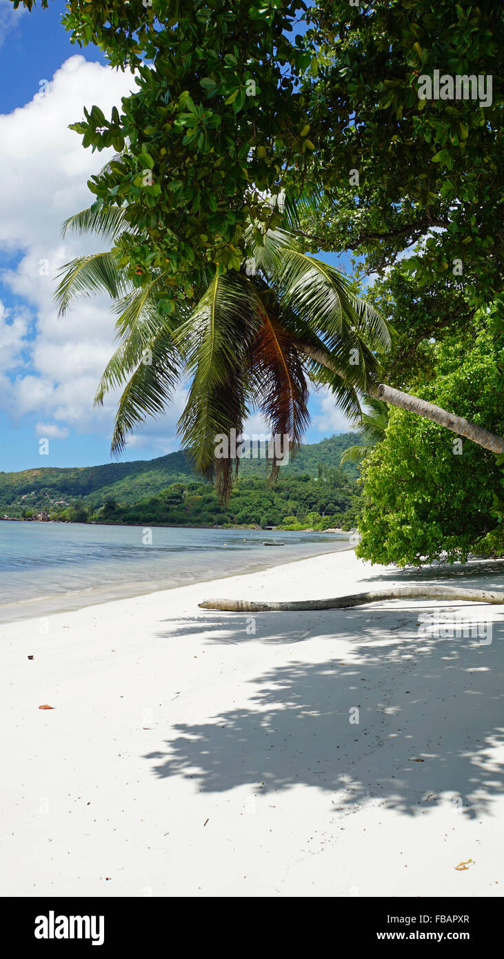 Tropical Beach anse boudin sull'isola di Praslin Foto Stock