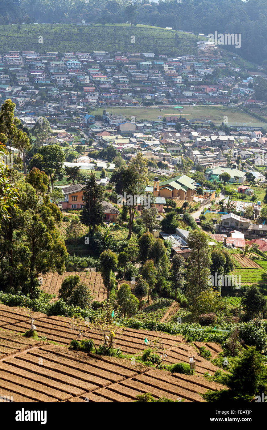 Paesaggio la piantagione di tè, quartiere Nuwara Eliya, Highlands Centrali, Sri Lanka Foto Stock