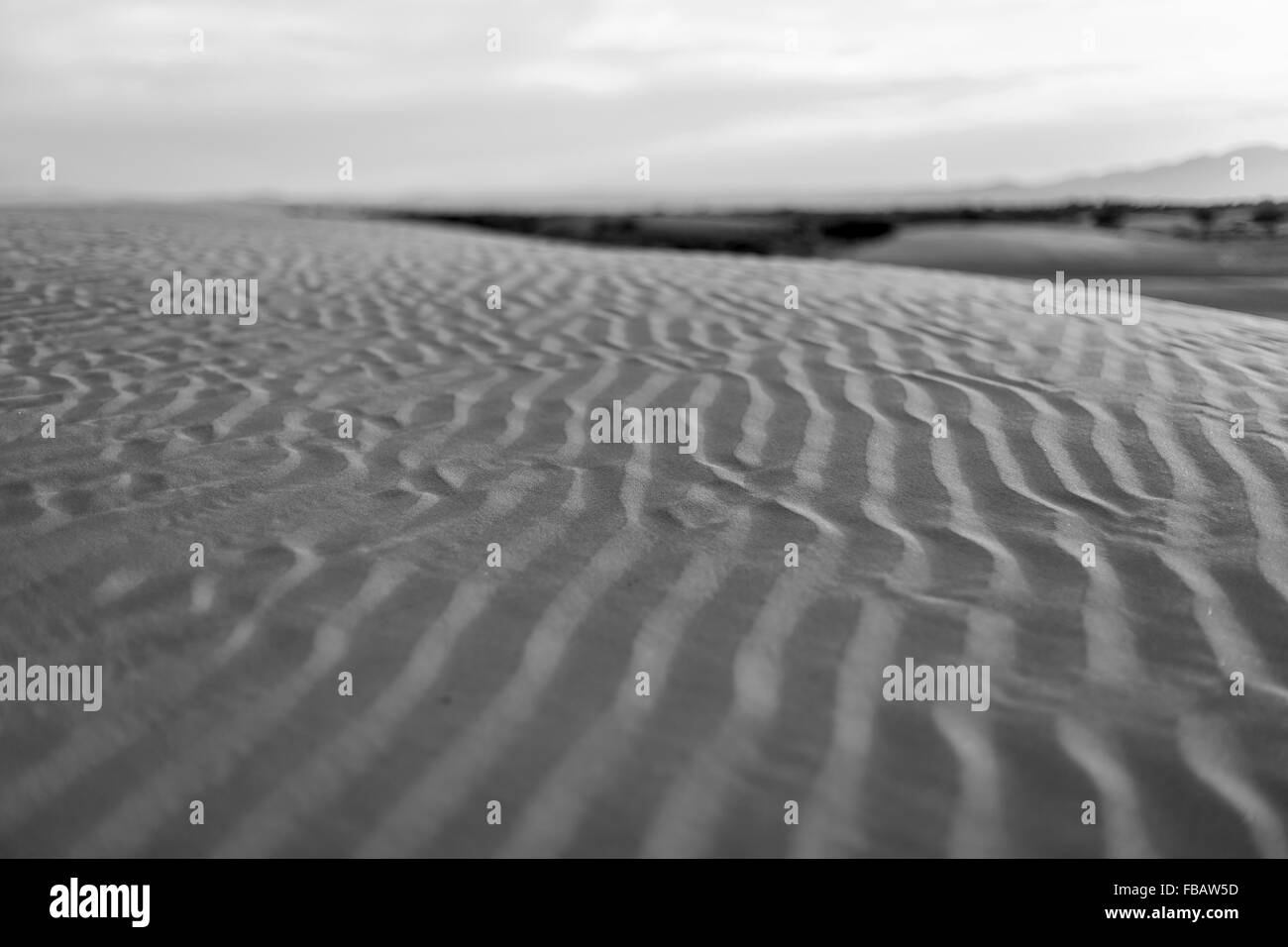 Deserto dei Gobi, Mongolia Foto Stock