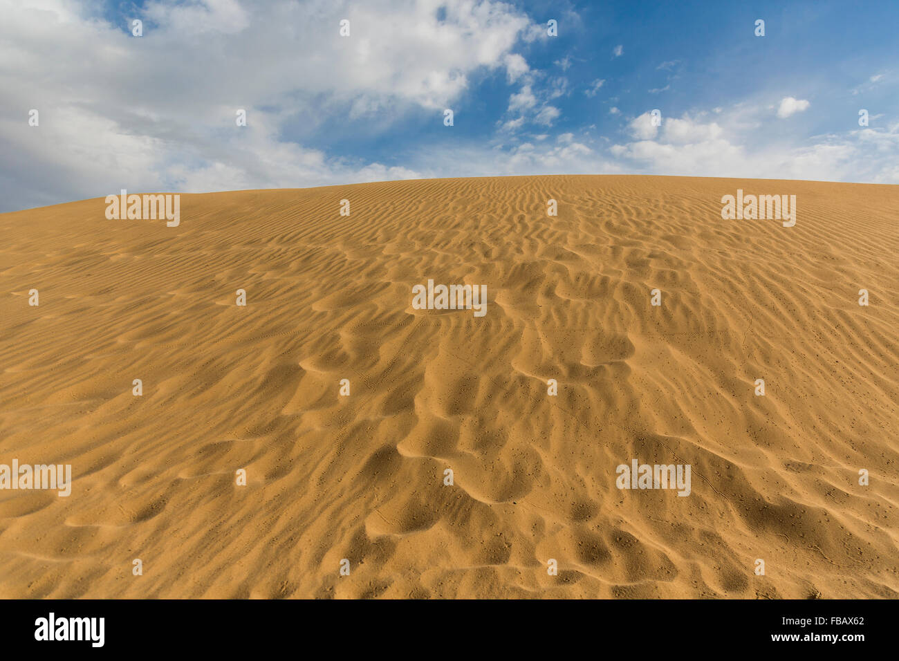 Gocce di pioggia su una duna di sabbia nel deserto del Gobi Mongolia Foto Stock
