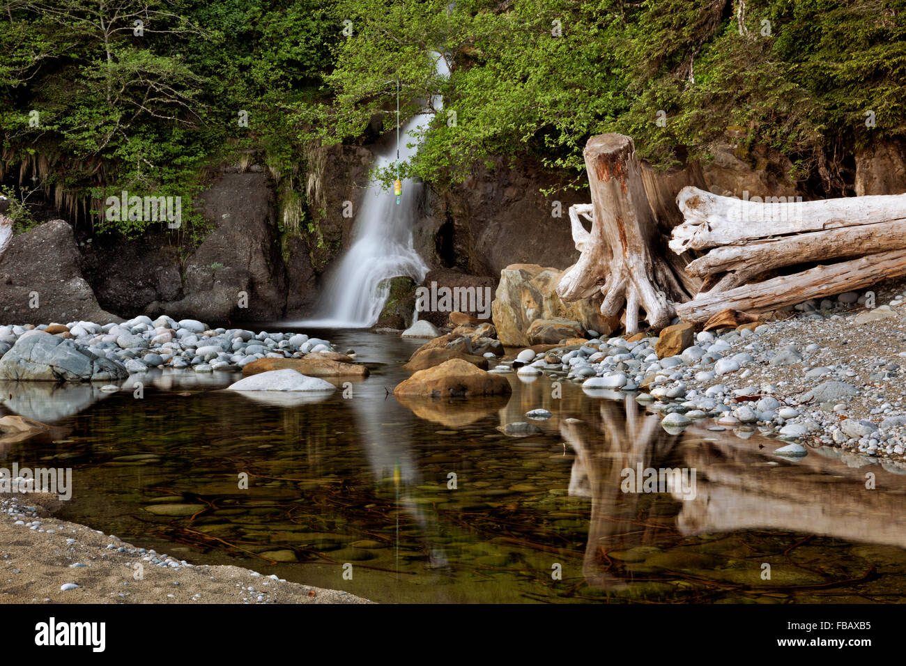 BRITISH COLUMBIA-Tsocowis Creek Falls a Tsocowis Creek Camp si trova sulla spiaggia lungo la West Coast Trail sull'Isola di Vancouver Foto Stock