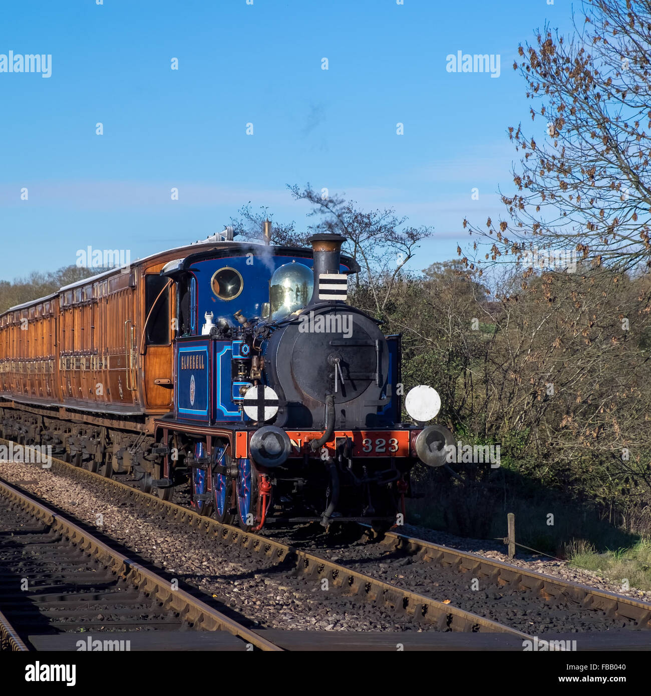 Bluebell Steam Treno in avvicinamento Sheffield Park Station Foto Stock