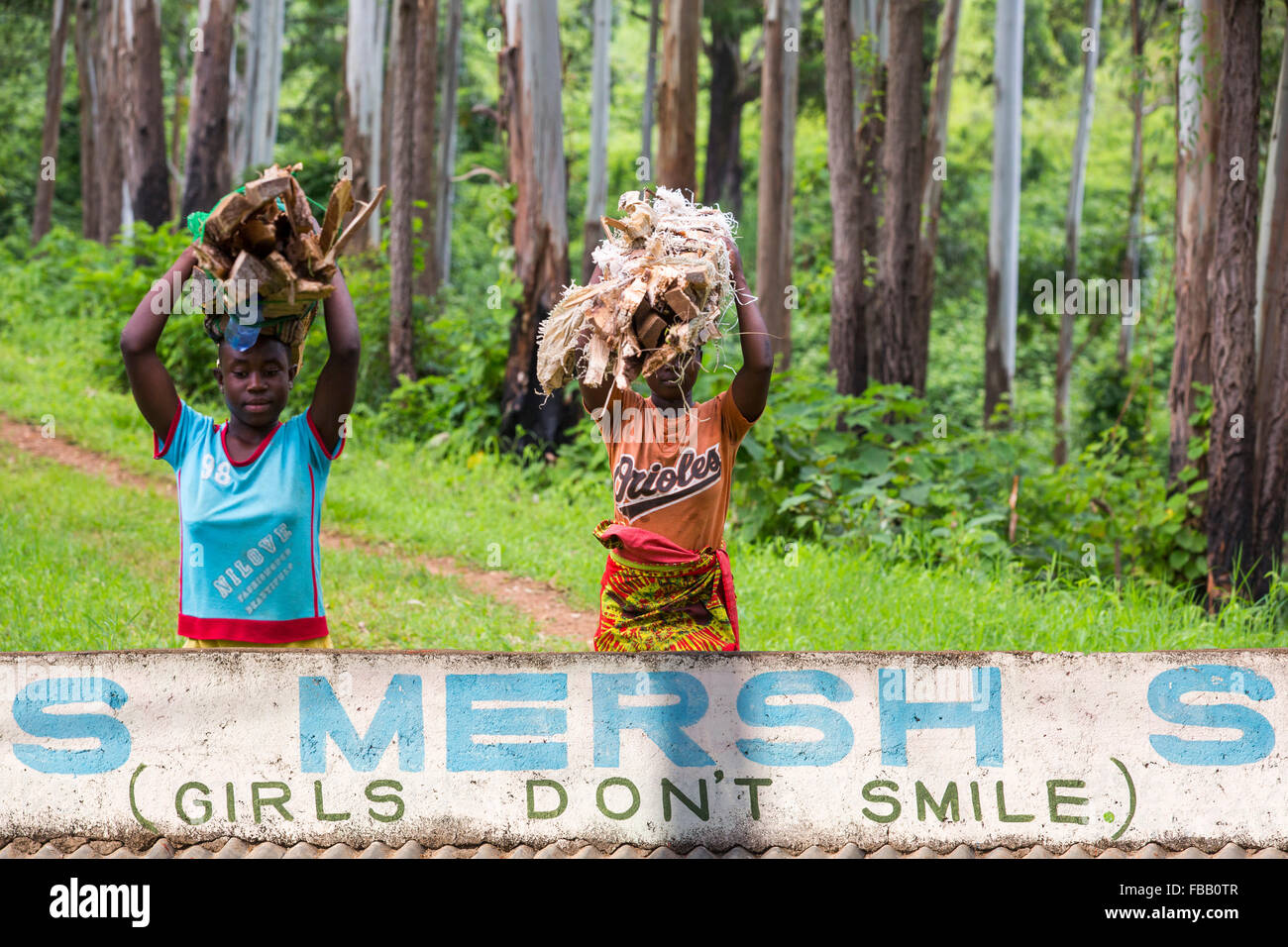 Il Malawi è uno dei paesi più poveri del mondo, è stata fortemente disboscate. La deforestazione è stata a terra chiara per una crescente popolazione di avere accesso alla terra per crescere raccolti di sussistenza e anche a fare il carbone di legna, che è il principale combustibile di cottura in Malawi. Qui le donne portano il legname illegalmente disconnesso il Plateau di Zomba. Foto Stock