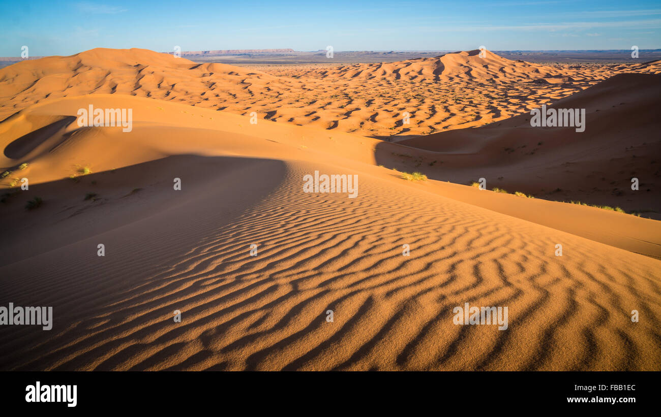 Dune sahariane e di ondulazioni, Erg Chebbi Marocco Foto Stock