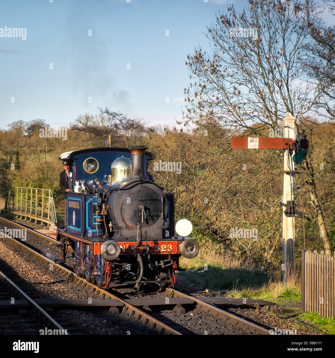 Bluebell Steam Treno in avvicinamento Sheffield Park Station Foto Stock
