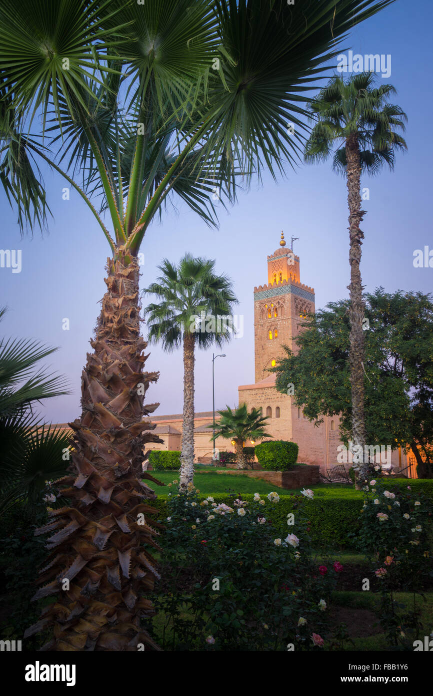 La Moschea di Koutoubia al crepuscolo, Marrakech marocco Foto Stock