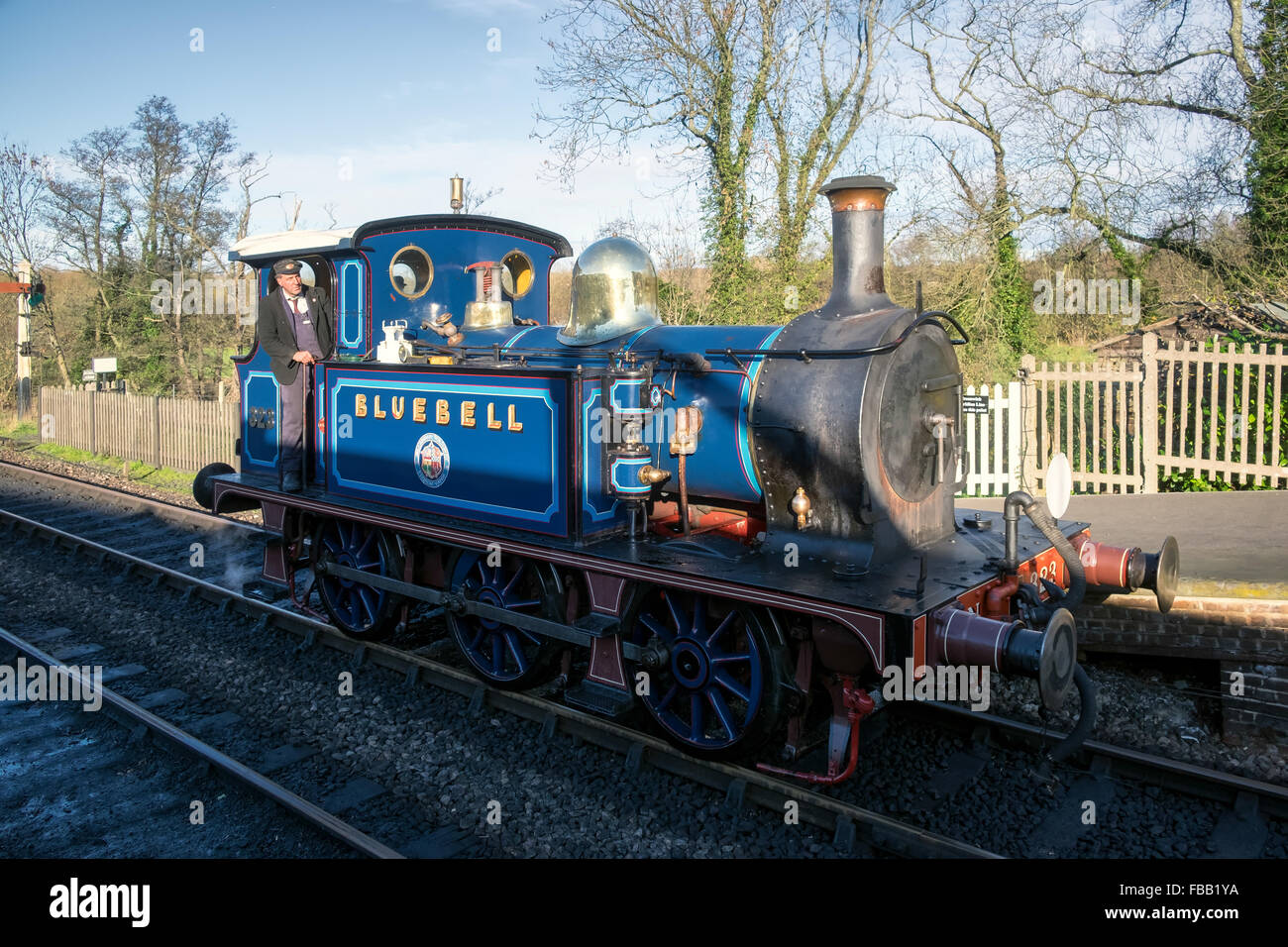 Bluebell Steam Treno in avvicinamento Sheffield Park Station Foto Stock