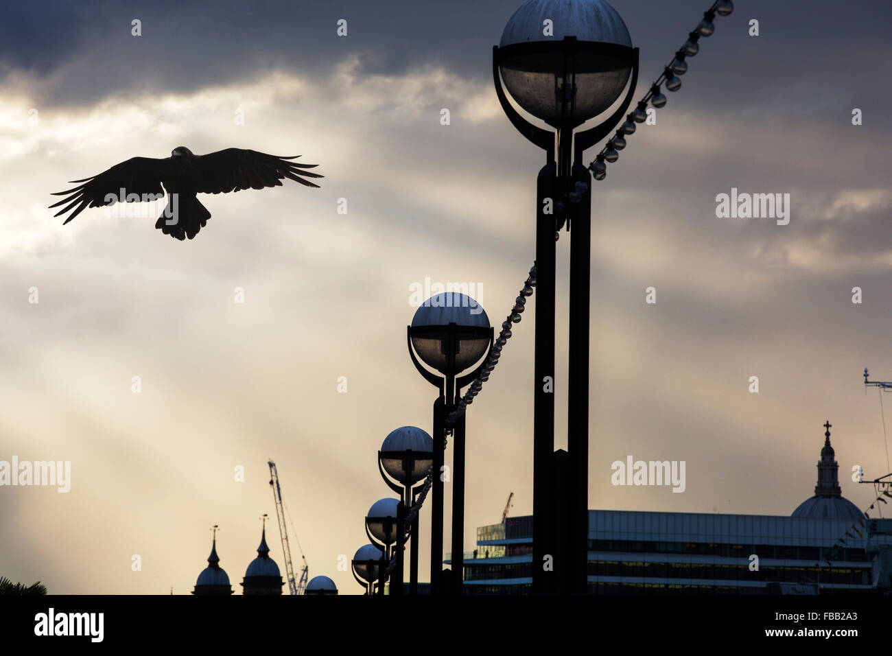 Le luci di strada sulla riva sud del Tamigi, London, Regno Unito con un corvo. Foto Stock