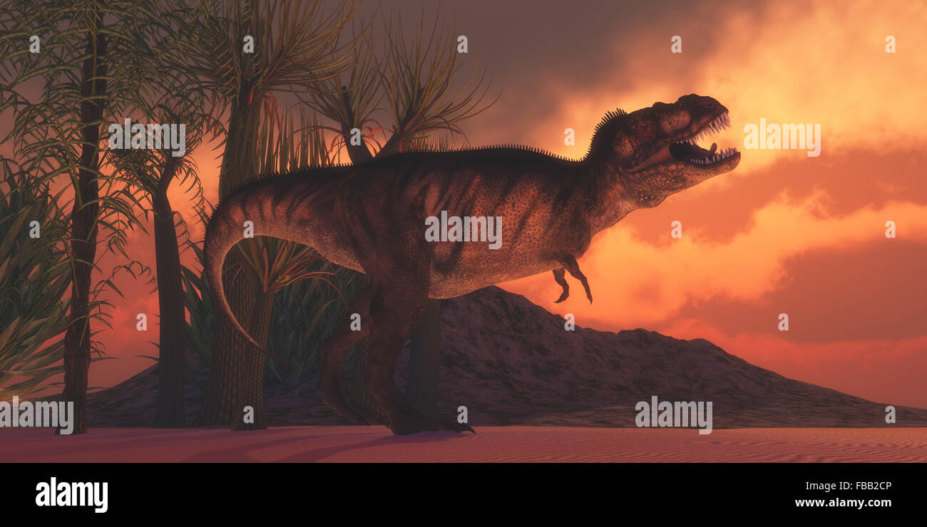 Un Tirannosauro Rex dinosauro ruggisce la rivendicazione del suo territorio come il sole tramonta su un Cretaceo giorno in Nord America. Foto Stock