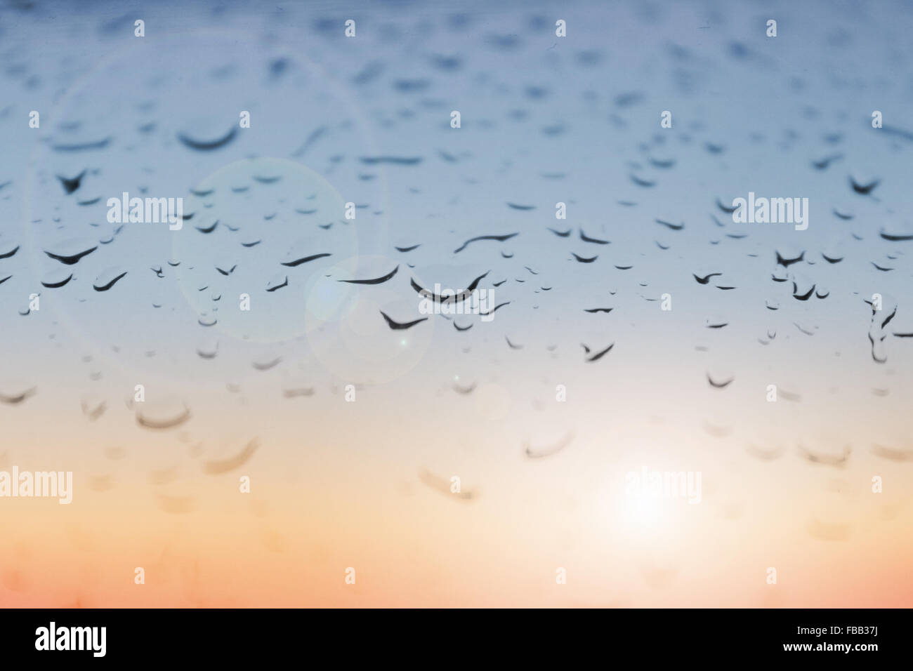 Gocce di pioggia macro - le goccioline di acqua sul vetro Foto Stock