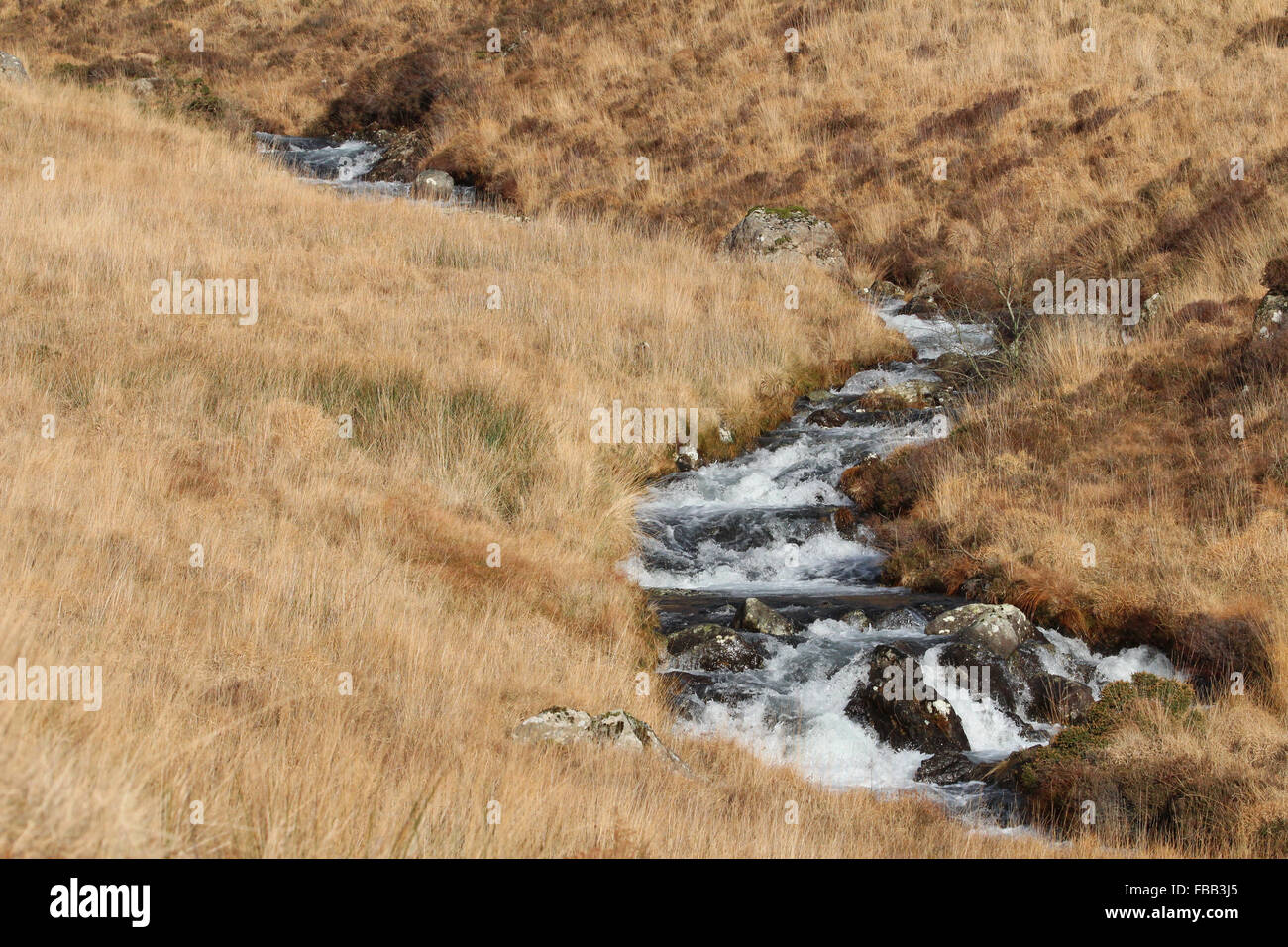 Fluente ruscello di montagna vicino Cadair Idris mountain, Gwynedd, Wales, Regno Unito. Foto Stock