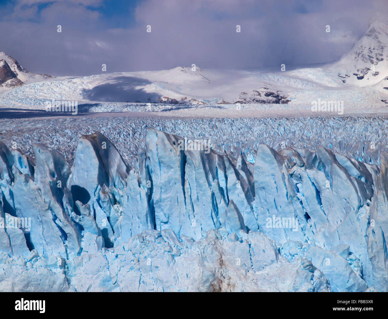 La faccia terminale del ghiacciaio Perito Moreno, Patagonia Foto Stock