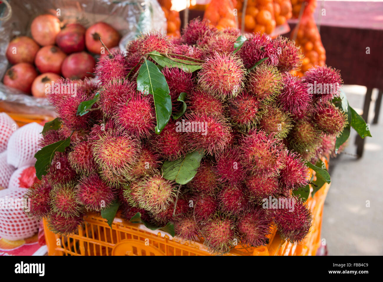 Una fila di frutta bancarelle che vendono i litchi accanto all'autostrada A1 (Autostrada Colombo-Kandy0 in Sri Lanka. Foto Stock