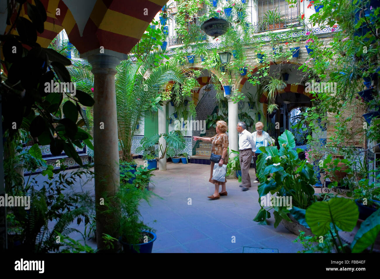 Cordoba.Andalusia. Spagna: Tipico cortile, in 14 Sánchez Peña street Foto Stock