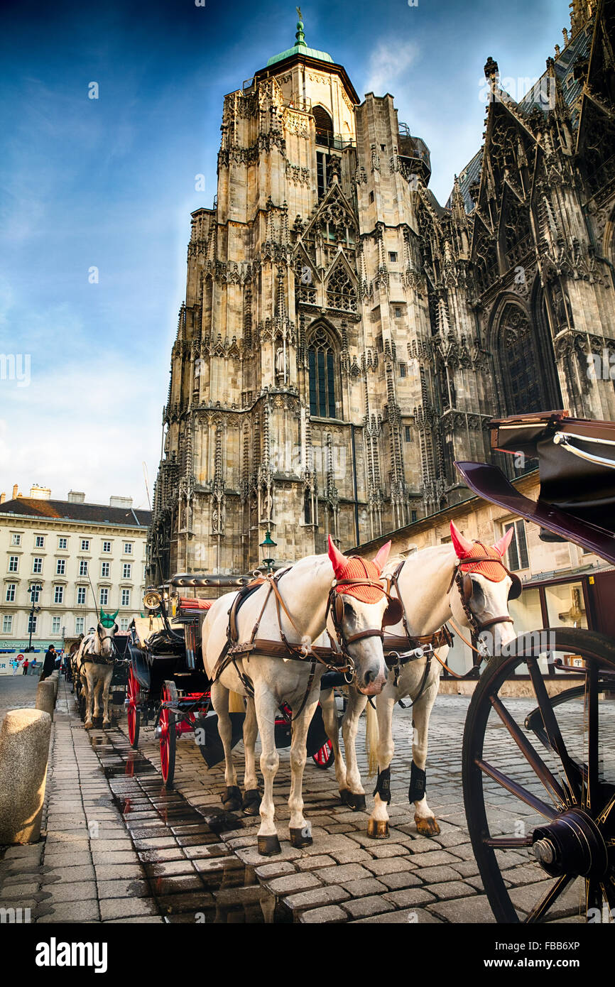 Basso angolo di vista Horse-Drawn carrelli presso la Cattedrale di St Stephens, Vienna, Austria Foto Stock
