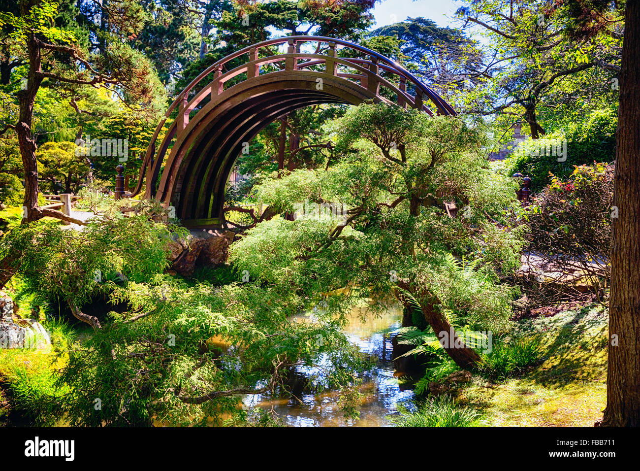 Basso angolo vista di una Luna ponte sopra un piccolo ruscello in un giardino giapponese, Golden Gate Park di San Francisco, California Foto Stock