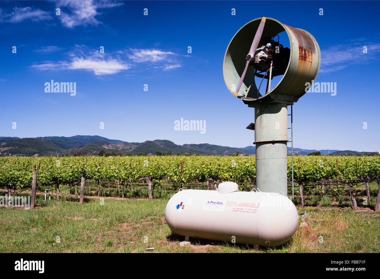 Angolo basso in prospettiva di una macchina di vento in un vigneto, Calistoga, Napa Valley, California Foto Stock