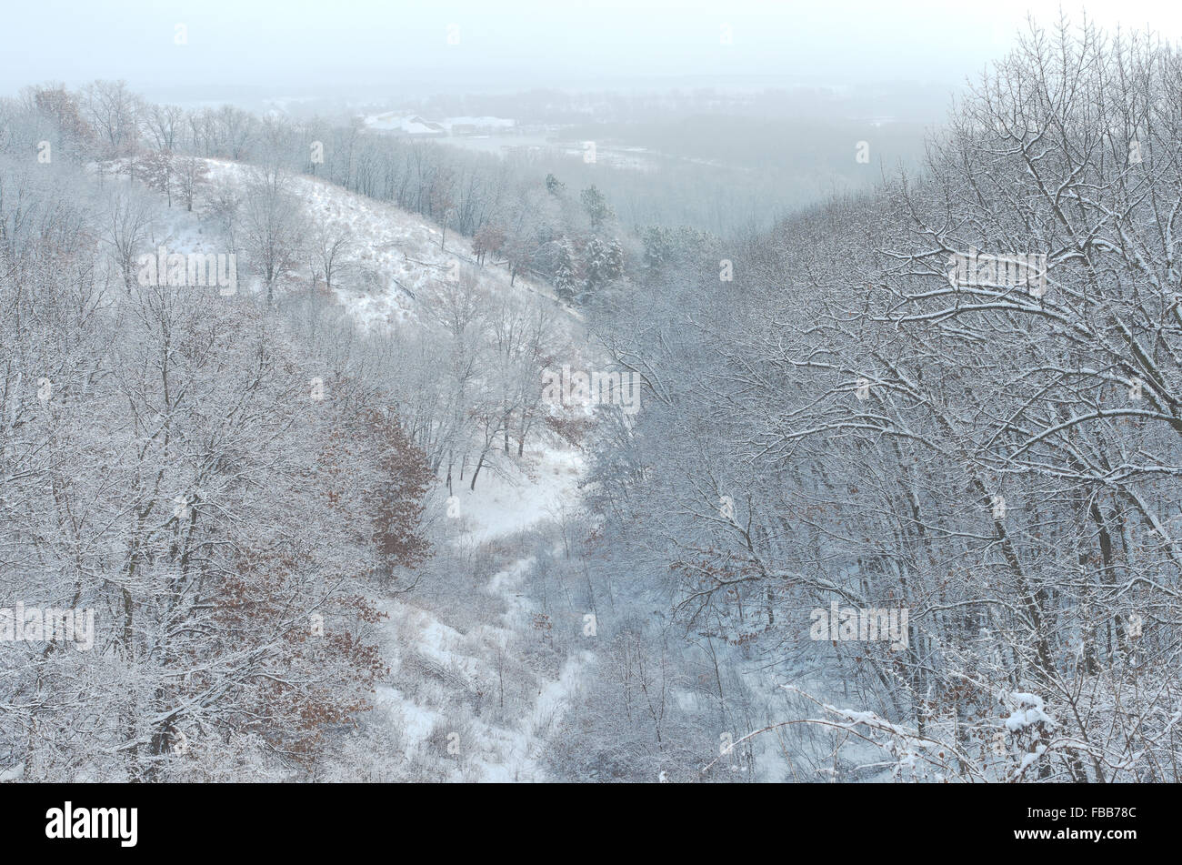 Colline boscose affacciato sul Mississippi River Valley e orizzonti lontani del paesaggio invernale a piegare Pine Bluffs e scientifico Foto Stock