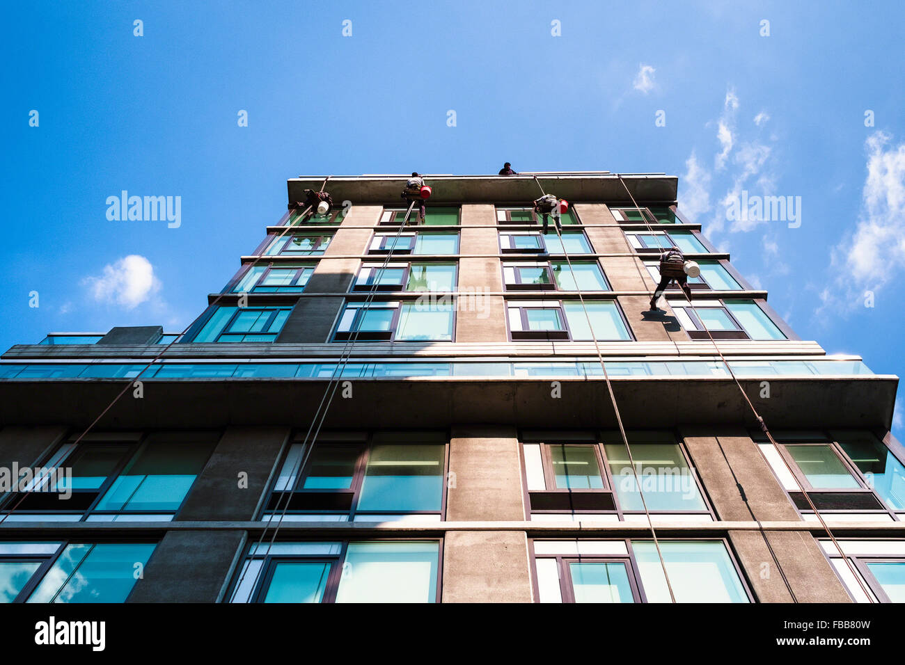 Detergenti per finestre Rappelling verso il basso sul lato di un edificio di moderna costruzione, Chelsea, Manahattan, New York City Foto Stock