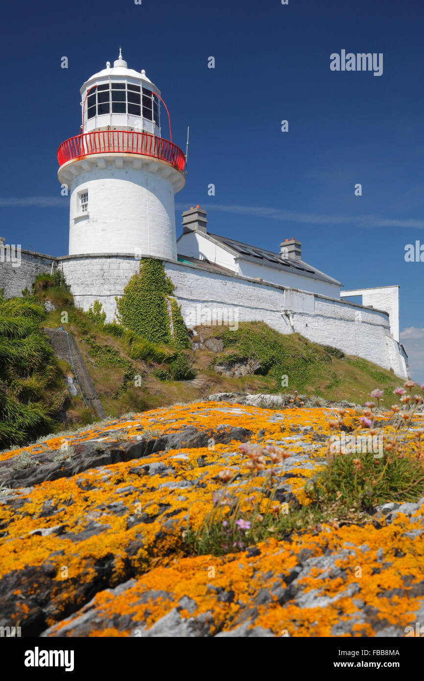 Faro all'Crookhaven Bay sulla penisola di Mizen, County Cork, Irlanda Foto Stock