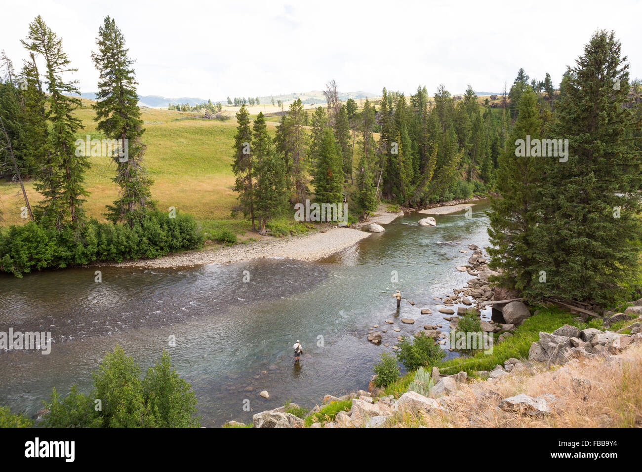 La pesca a mosca il lavoro di lamar fiume nel parco nazionale di Yellowstone Foto Stock