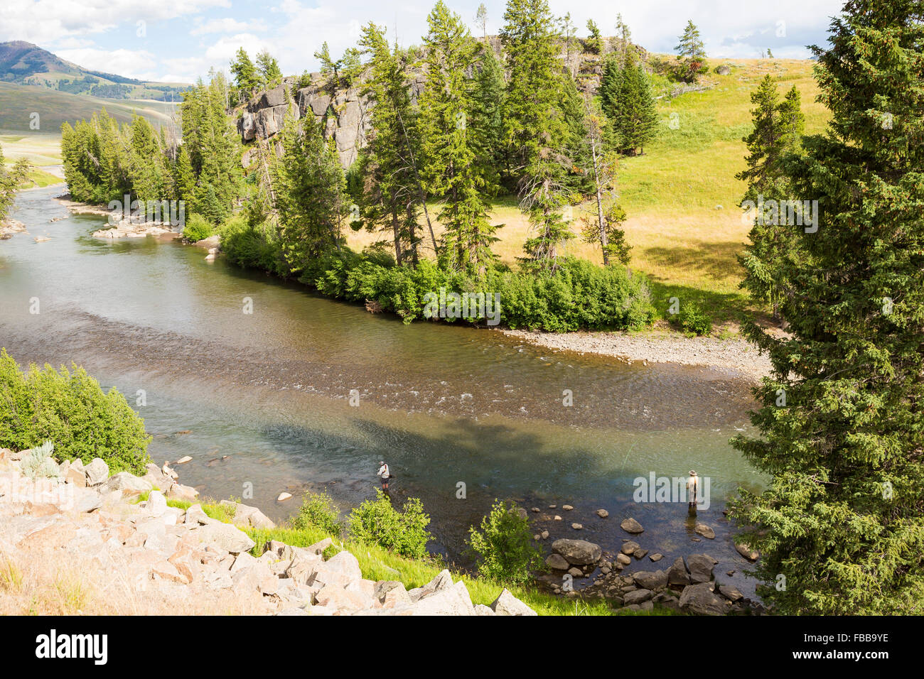 La pesca a mosca il lavoro di lamar fiume nel parco nazionale di Yellowstone Foto Stock