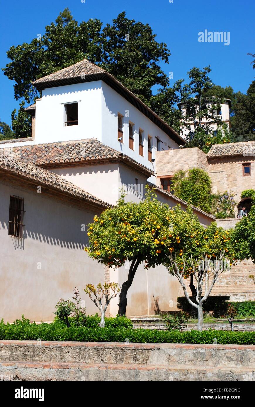 Alberi di arancio in nuovi giardini del Generalife (giardini di Castello) con edifici per la parte posteriore, Palazzo della Alhambra di Granada. Foto Stock