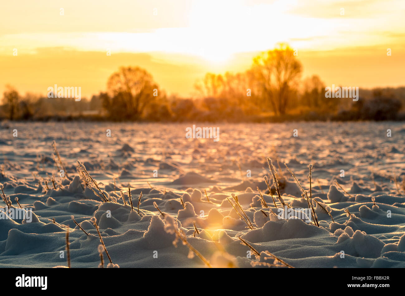 Sunrise a snowy frosty campo temperatura fredda Foto Stock