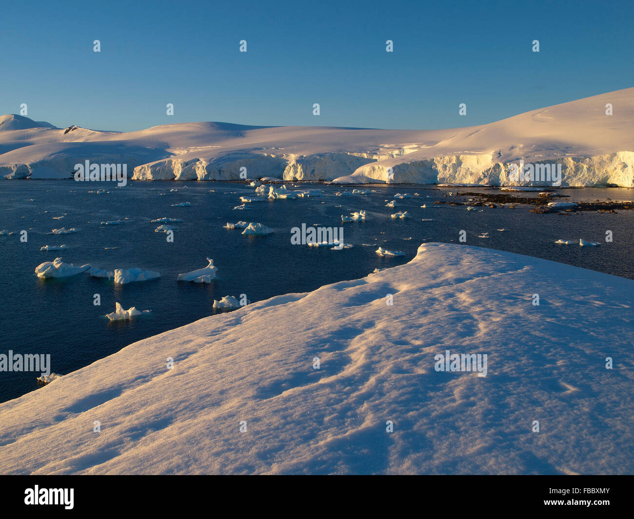 Coste ghiacciate, Penisola Antartica Foto Stock