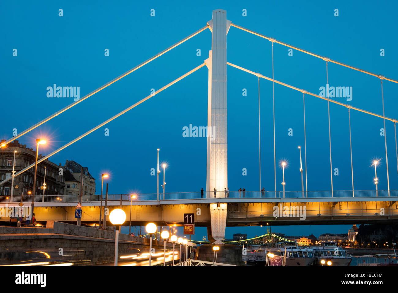Erzsebet Hid, Elizabeth Bridge, il fiume Danubio, Budapest, Ungheria Foto Stock