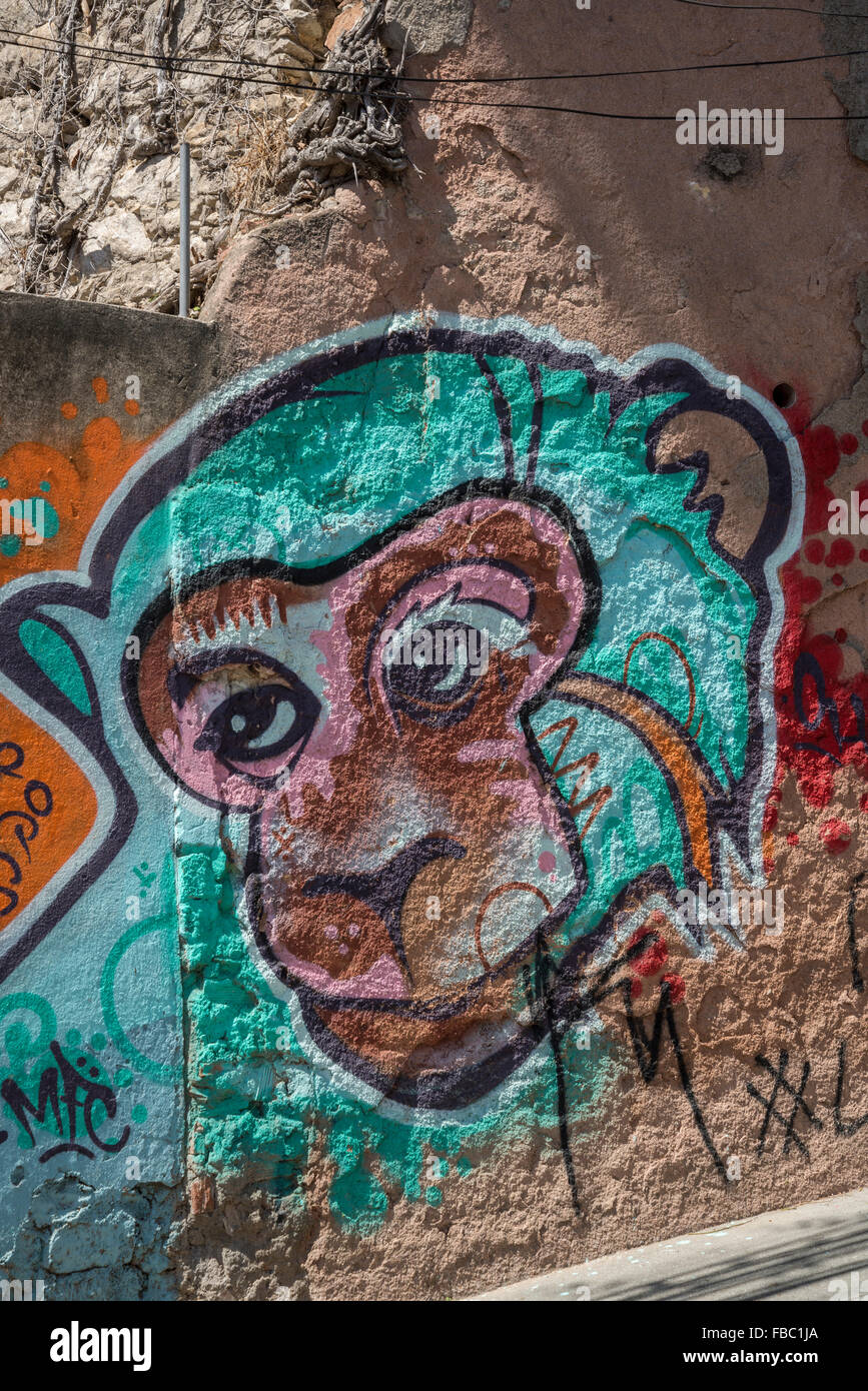 Graffiti, Santa Teresa quartiere, Rio de Janeiro, Brasile Foto Stock