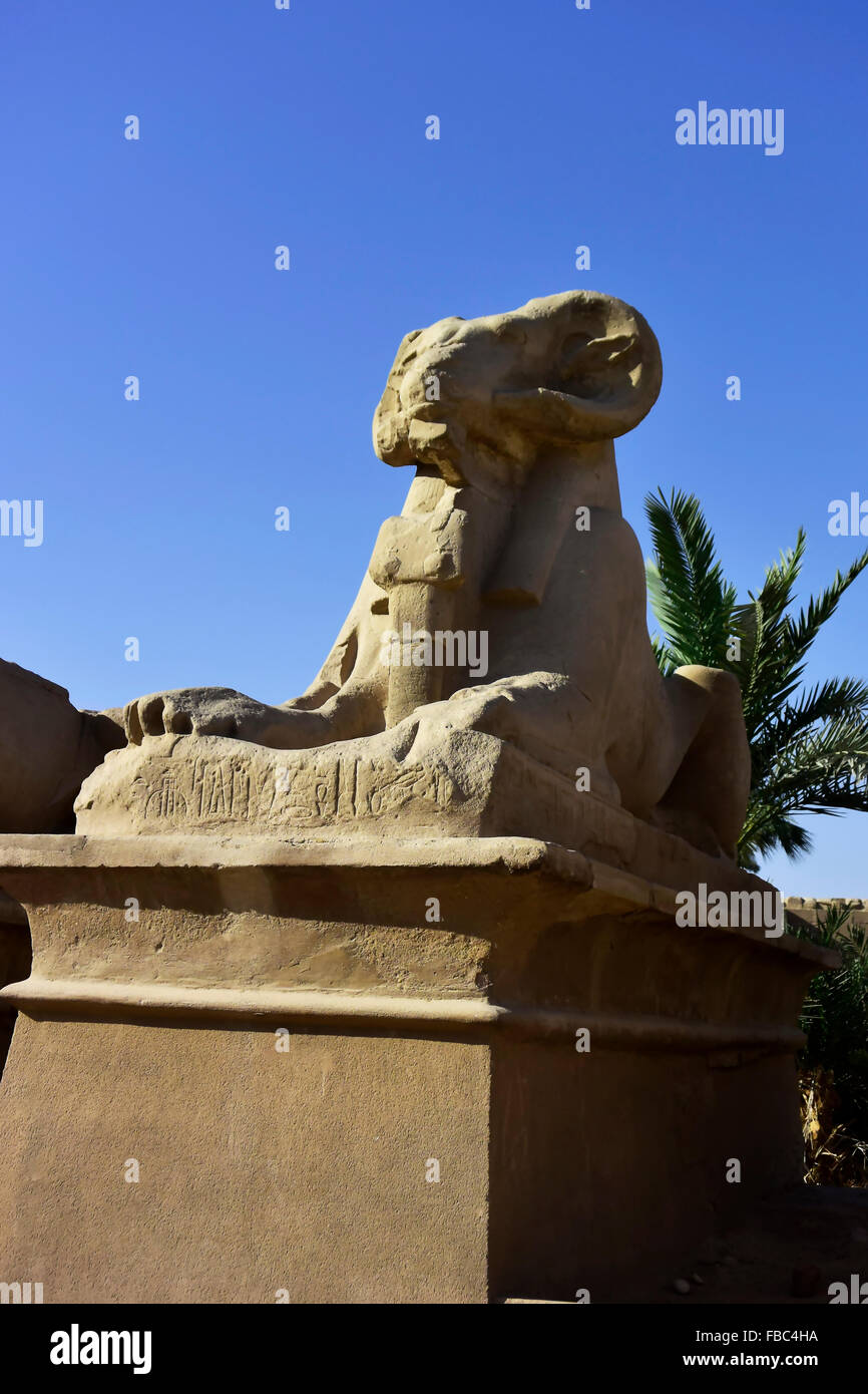 Antica pietra egiziano di ram permanente sulla protezione nella parte anteriore del tempio di Karnak a Luxor, Egitto Foto Stock