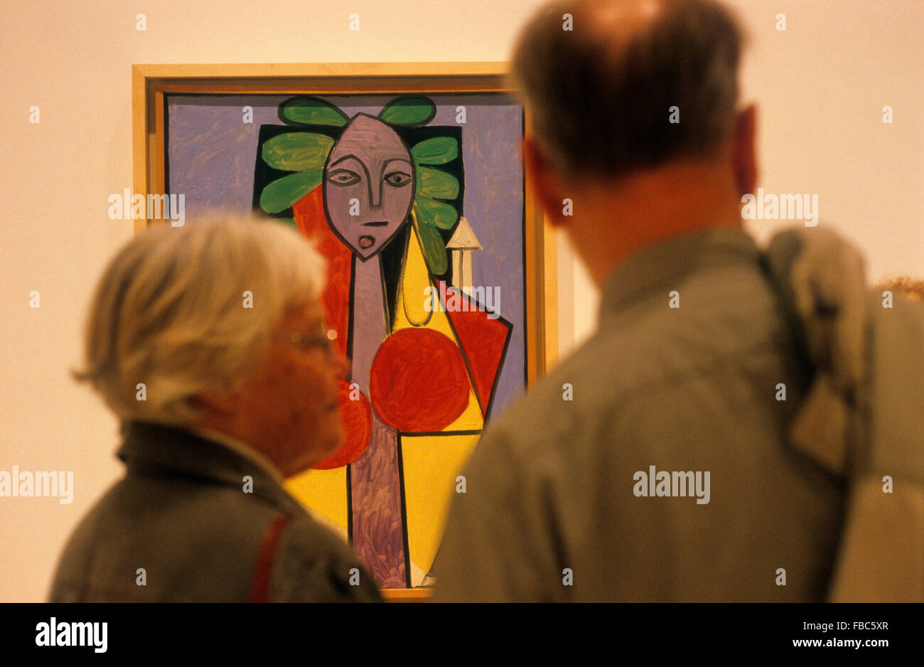 Picasso opere d'arte. Nel Museo di Picasso nel Palacio de los Condes de Buenavista. 8 San Agustin street.Malaga.Andalusia. Spagna Foto Stock