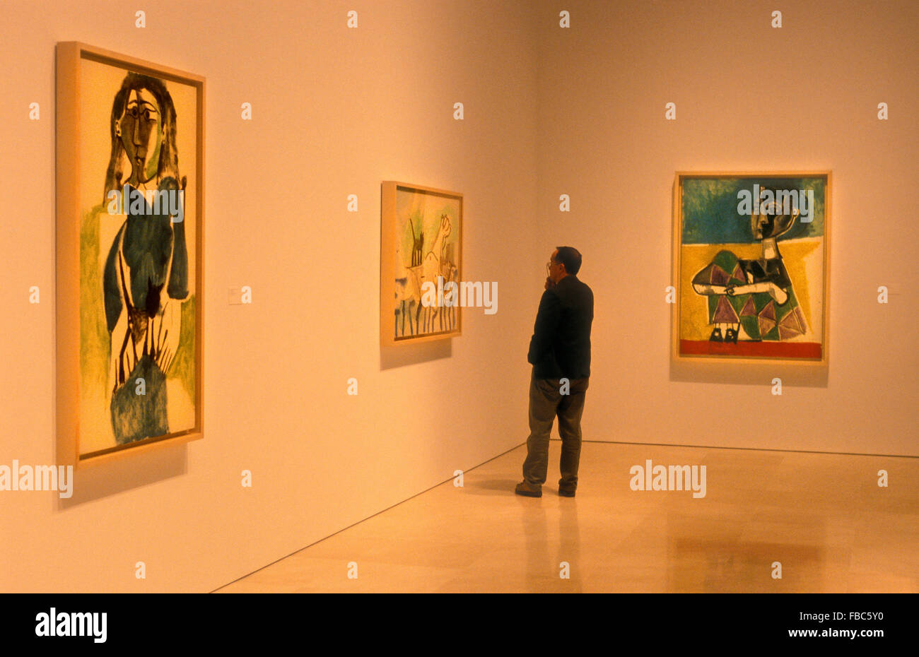 Picasso opere d'arte. Nel Museo di Picasso nel Palacio de los Condes de Buenavista. 8 San Agustin street.Malaga.Andalusia. Spagna Foto Stock