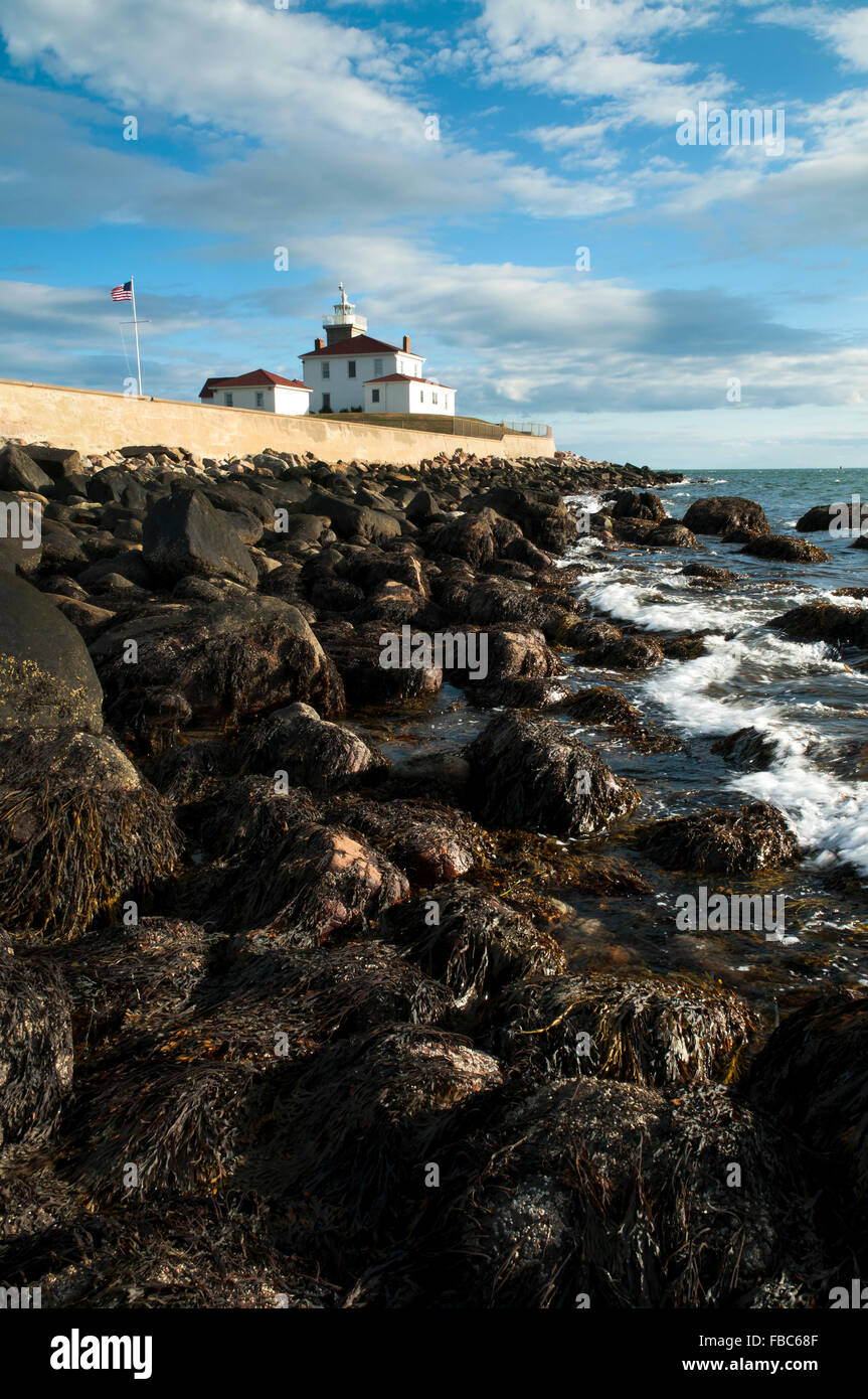 La bassa marea con frangiflutti roccioso coperto con alghe marine lungo seawall che circondano la storica Watch Hill faro in Rhode Island. Foto Stock