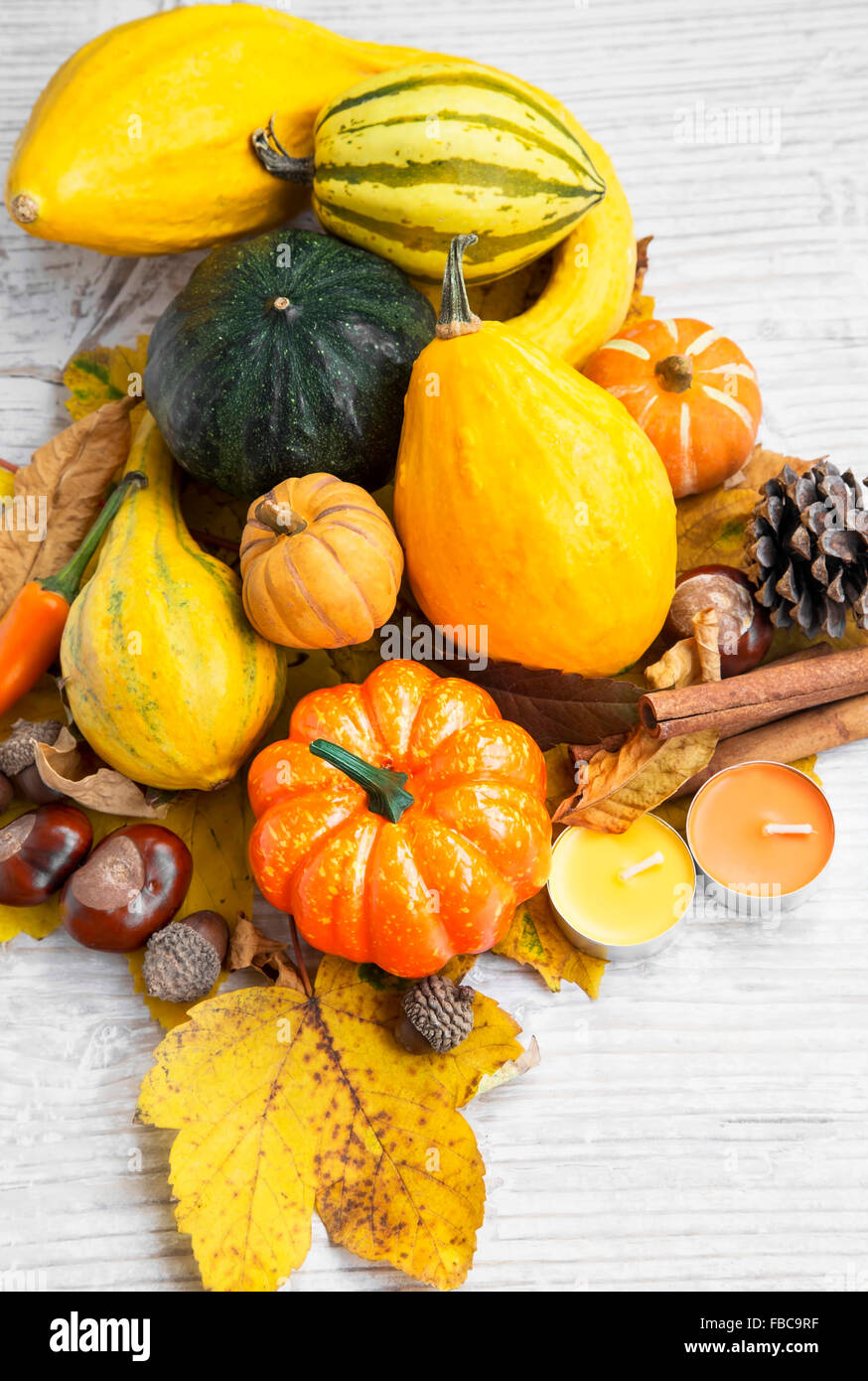 Autunno zucche assortimento con foglie di autunno, castagne, cannella e ghiande Foto Stock