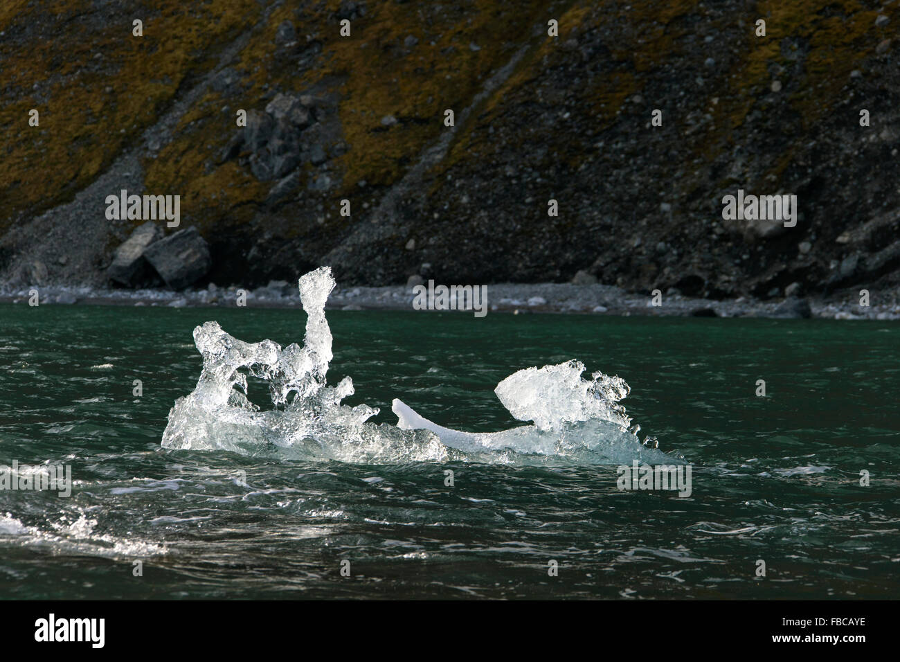 Ghiaccio fondente floe deriva in Burgerbukta, Bay a nord del fiordo di Hornsund, Svalbard, Spitsbergen, Norvegia Foto Stock