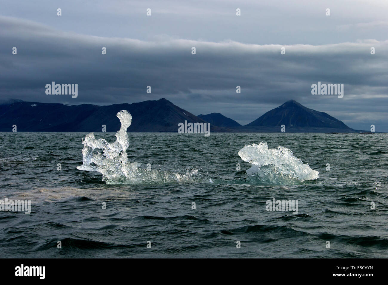 Ghiaccio fondente floe deriva in Burgerbukta, Bay a nord del fiordo di Hornsund, Svalbard, Spitsbergen, Norvegia Foto Stock